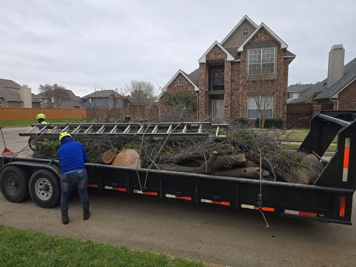 Expert Tree Removal with proper safety equipment in La Prairie